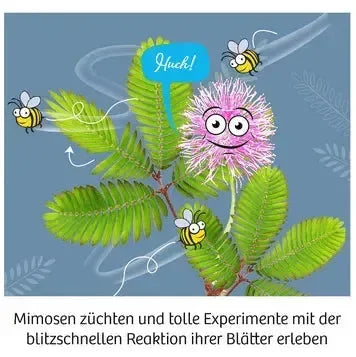 Mitbring Experiment: Mimosengarten Kosmos Spieleverlag