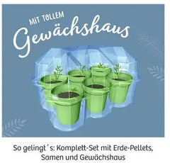 Mitbring Experiment: Mimosengarten Kosmos Spieleverlag