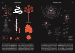 Phänomene unserer Welt - 9783831049837 Dorling Kindersley Verlag