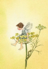 Postkartenbuch "Elfenträume" - 9783825152697 Urachhaus Verlag