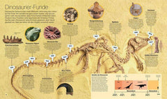 Reise durch die Wissenschaft Dorling Kindersley Verlag