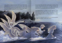 Schwanensee und andere märchenhafte Ballettgeschichten - 9783845850771 ars edition