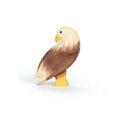 Seeadler stehend 17202