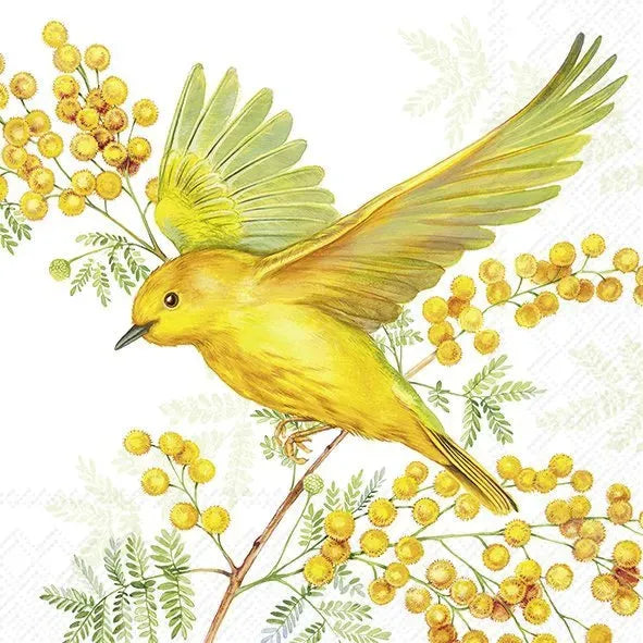 Servietten - Vogel - C1065829 IHR