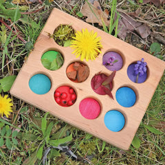Sortierbrettchen Regenbogen - 10576 Grimms