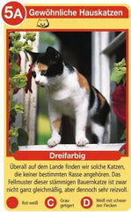 Tier Quartett - Katzen Ravensburger Spiele