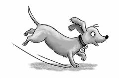 Unser Weihnachtswunderhaus Carlsen Verlag