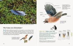 Unserer Natur auf der Spur Natur-Verlag Wawra