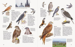 Unserer Natur auf der Spur Natur-Verlag Wawra