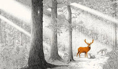 Versteckt im Wald - 9783772531989 Verlag Freies Geistesleben