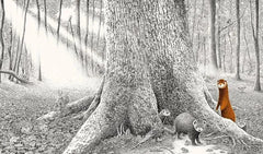 Versteckt im Wald - 9783772531989 Verlag Freies Geistesleben