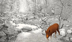 Versteckt im Wald - 9783772531989 Verlag Freies Geistesleben