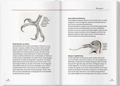 Von Elstern, Eichhörnchen und Erdhummeln Landwirtschaftsverlag