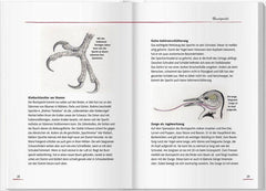 Von Elstern, Eichhörnchen und Erdhummeln Landwirtschaftsverlag