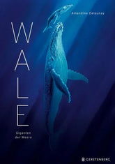 Wale - Giganten der Meere - 9783836963336 Gerstenberg Verlag