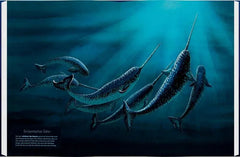 Wale - Giganten der Meere - 9783836963336 Gerstenberg Verlag