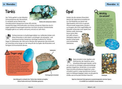 Welcher Stein ist das? (Kindernaturführer)