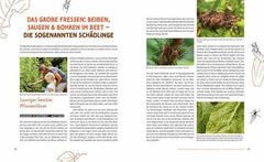 Wer knabbert da an meinem Gemüse? Löwenzahn Verlag