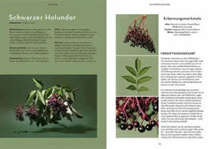 Wild durchs Jahr - 9783440177594 Kosmos