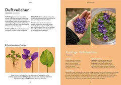 Wild durchs Jahr - 9783440177594 Kosmos