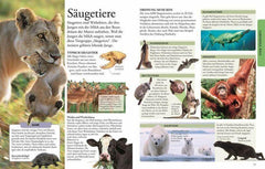 Wissen für clevere Kids Dorling Kindersley Verlag