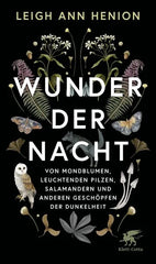 Wunder der Nacht