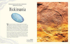 Wundervolle Welt der Dinosaurier und der Urzeit Dorling Kindersley Verlag