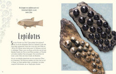 Wundervolle Welt der Dinosaurier und der Urzeit Dorling Kindersley Verlag