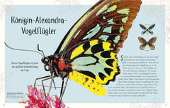 Wundervolle Welt der Insekten und Spinnentiere