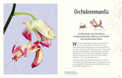 Wundervolle Welt der Insekten und Spinnentiere