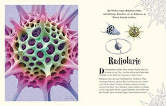 Wundervolle Welt der Natur Dorling Kindersley Verlag