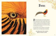 Wundervolle Welt der Tiere Dorling Kindersley Verlag