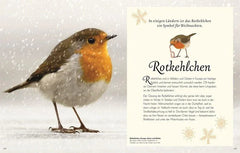 Wundervolle Welt der Vögel - 9783831051144 Dorling Kindersley Verlag