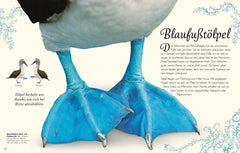 Wundervolle Welt der Vögel - 9783831051144 Dorling Kindersley Verlag