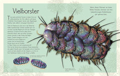 Wundervolle Welt. Wasser Dorling Kindersley Verlag