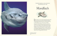 Wundervolle Welt. Wasser Dorling Kindersley Verlag