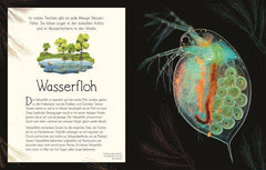 Wundervolle Welt. Wasser Dorling Kindersley Verlag