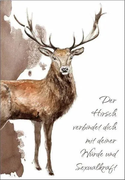 Krafttiere und ihre seelischen Botschaften Königsfurt Urania