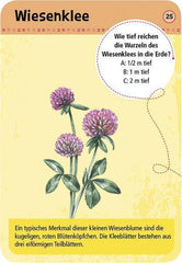 50 Heimische Blumen - www. kunstundspiel .de 4033477097170