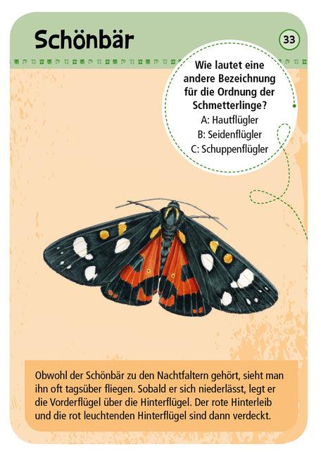 50 Heimische Schmetterlinge - www. kunstundspiel .de 21065