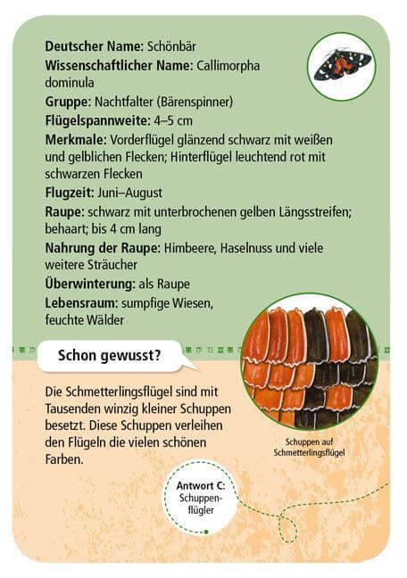 50 Heimische Schmetterlinge Moses