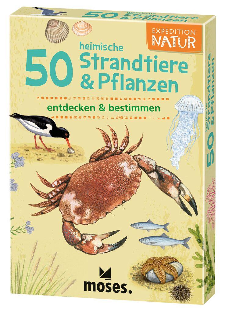 50 heimische Strandtiere & Pflanzen - www. kunstundspiel .de 9745