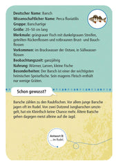 50 heimische Strandtiere & Pflanzen - www. kunstundspiel .de 9745