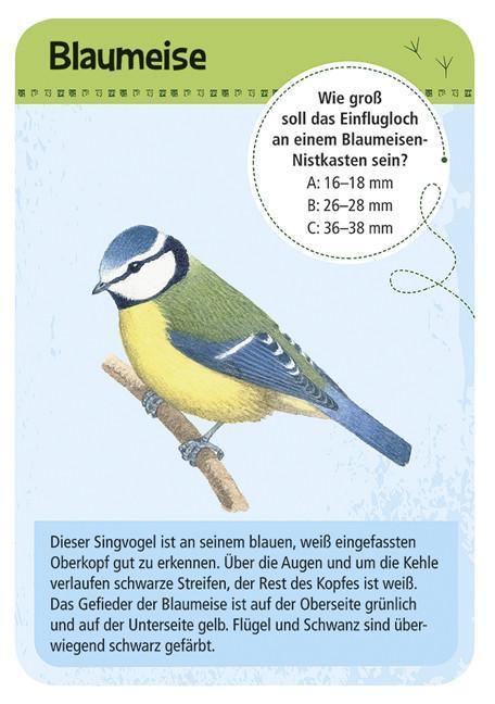 50 heimische Vögel - www. kunstundspiel .de 4033477097156