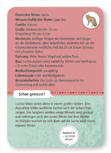 50 heimische Wald- & Wildtiere - www. kunstundspiel .de 9739