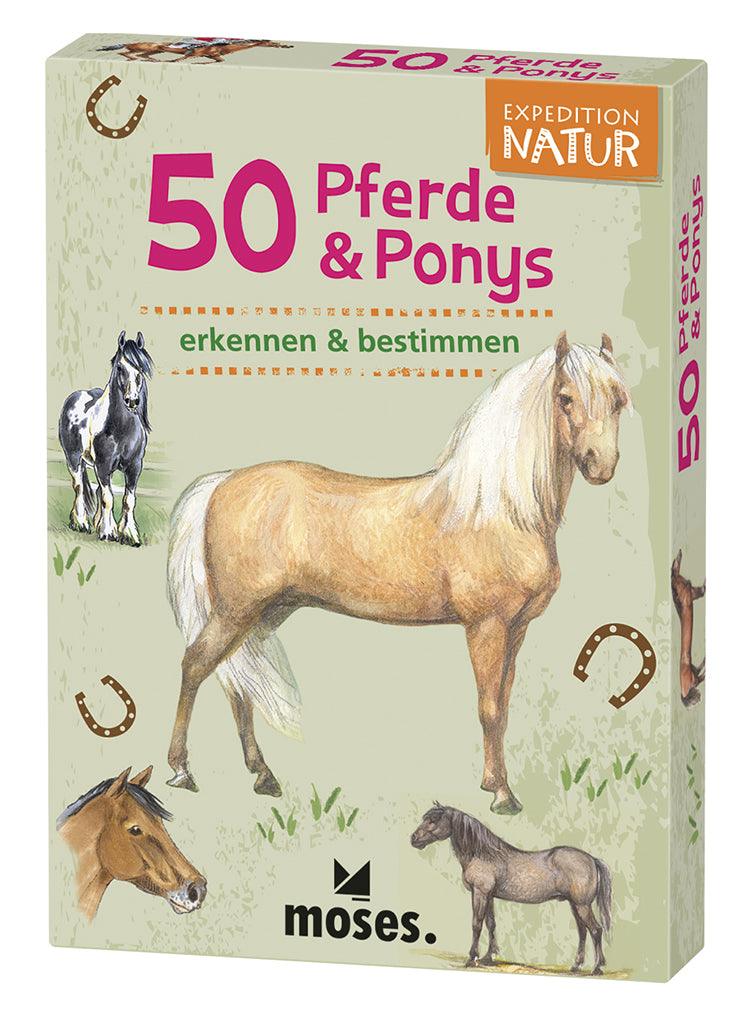 50 Pferde und Ponys - www. kunstundspiel .de 9744