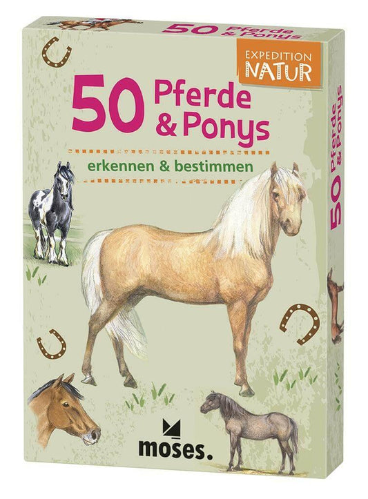 50 Pferde und Ponys Moses