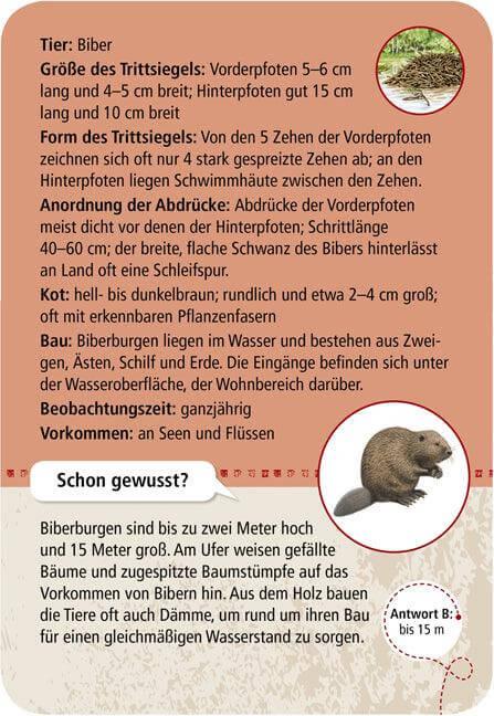 50 Tierspuren Moses