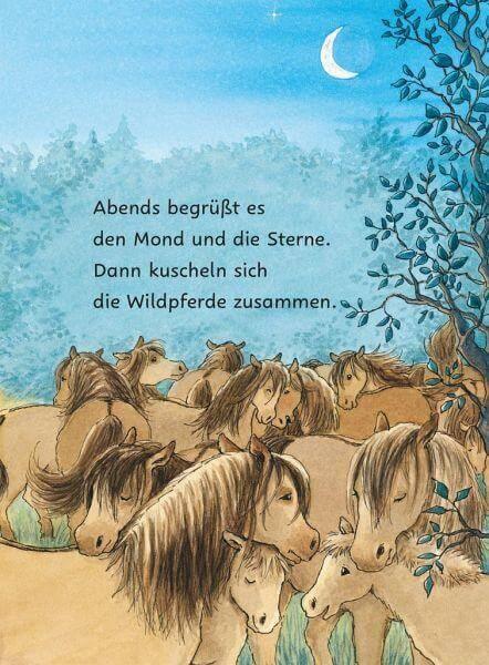 Die geklaute Wurst / Ponyherz und Herr Franz Bd.1 Carlsen Verlag