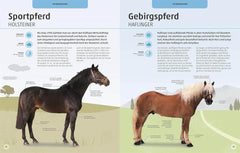 Pferde und Ponys Dorling Kindersley Verlag